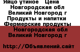 Яйцо утиное › Цена ­ 150 - Новгородская обл., Великий Новгород г. Продукты и напитки » Фермерские продукты   . Новгородская обл.,Великий Новгород г.